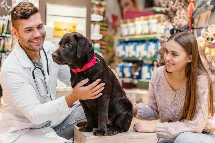 Como Abrir Um Cnpj Para Quem Tem Um Pet Shop Passo A Passo