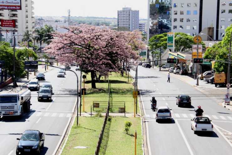 abertura de empresa em Bauru SP