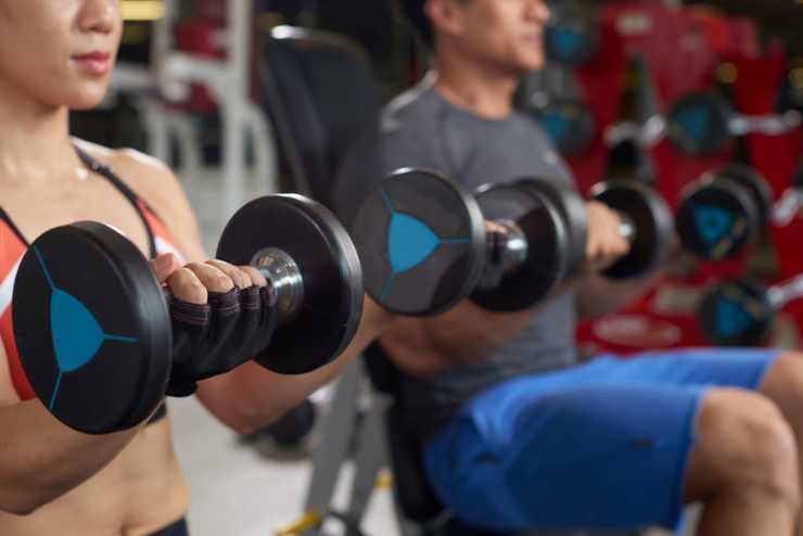 Close-up image of people having arm day in the gym