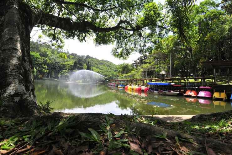 Abrir um comercio em jaragua do sul