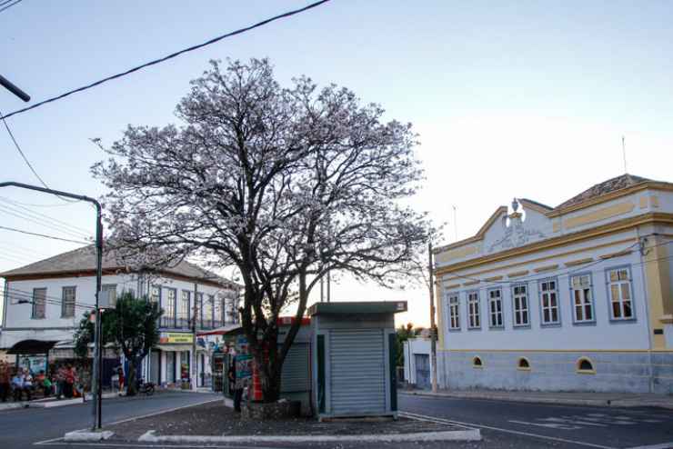 Como abrir uma empresa em Oliveira