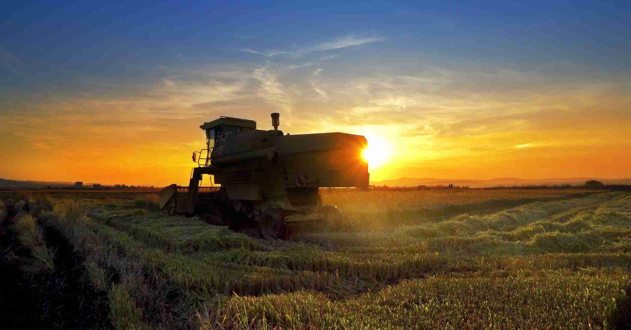 Recuperação Tributária Agronegócio